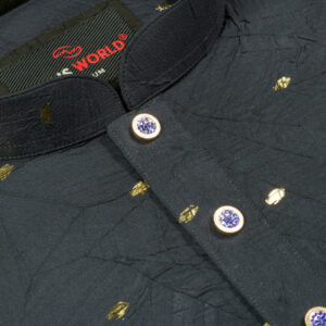 Casual Panjabi | CP 2509